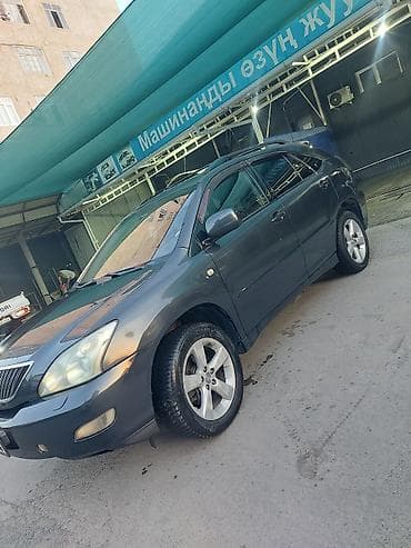 byd e1: Lexus RX: 2004 г., Бензин, Кроссовер — 2