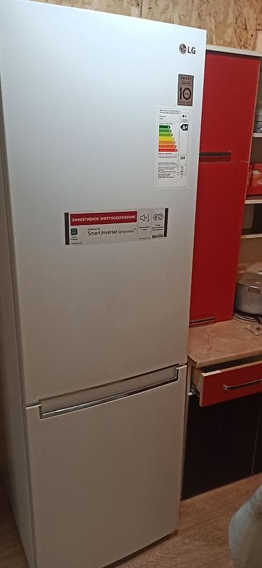 Холодильник LG, Двухкамерный
