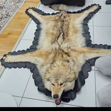 Аренда юрты, Каркас Деревянный, 85 баш, Казан, Посуда, С полом