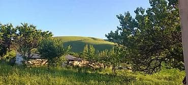 с озерное: 12 соток, Красная книга — 3