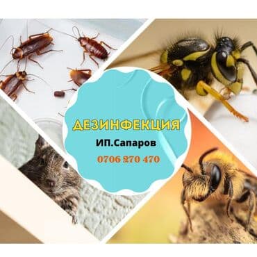 каркасные дома проекты и цены бишкек: Уничтожения клоповДезинфекция!!!любой сложности (*❛‿❛)→Приемлемая — 17