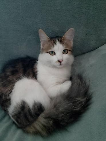 8 месяцев, Мальчик, С прививками