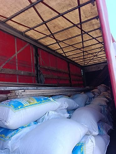 такси ыссык кол: Талап кылынат Ар түрдүү жумуштарды жасаган жумушчу, Төлөм: Күнүмдүк, Тажрыйбасыз — 1