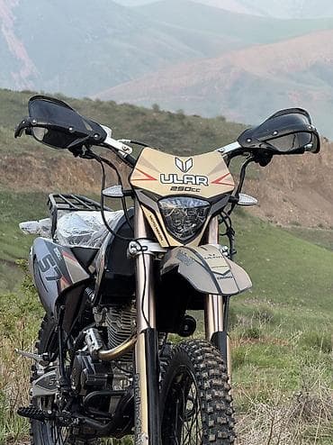 tsunami бу: Эндуро-мотоцикл Ular S7 250 - Двигатель 250 см³ (надпись 250CC) — 9