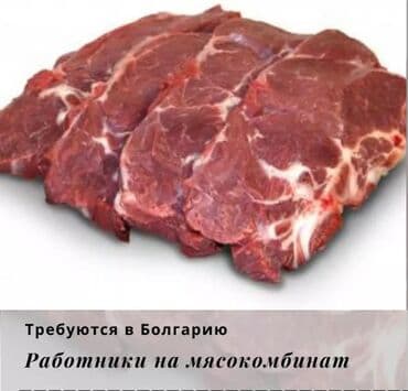 работа в англии бишкек: Работа - Болгария, Мед. страхование — 1