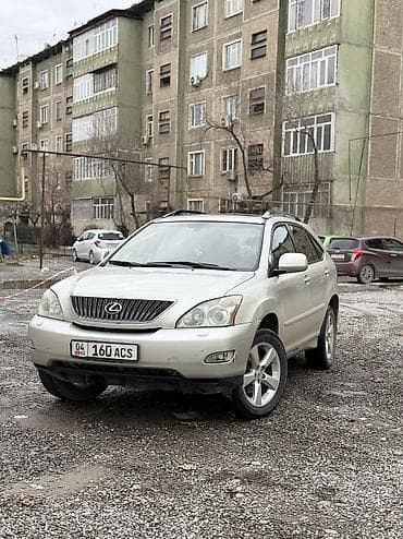 w210 e320: Lexus RX: 2004 г., 3.3 л, Автомат, Бензин, Кроссовер — 7