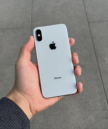 IPhone X, Новый, 256 ГБ, Серебристый, Чехол, 100 %