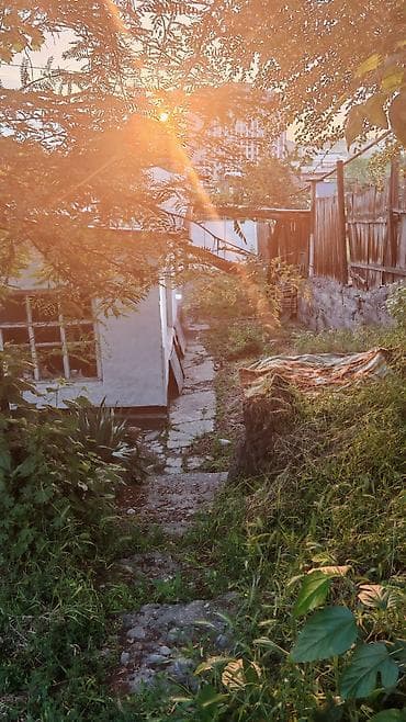 дача около реки: Жилой дом с придомовой территорией - Отдельно стоящее одноэтажное — 3