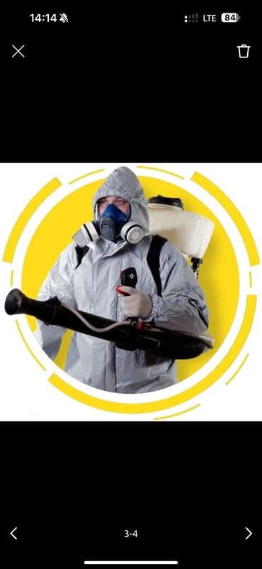 уничтожение клоп блох: Дезинфекция, дезинсекция, | Блохи, Вирусы, микробы, Клопы, | Офисы, Дворы, Дома — 5