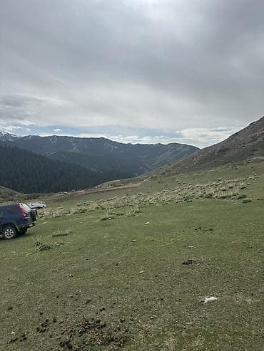 село канстантиновка дом: 15 соток, Для бизнеса, Красная книга — 5