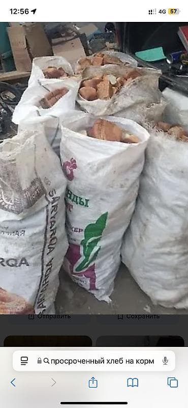 Ветеринар кызматы: Жемге просрочный нан булочкалар сатылат мешогу 150 сом коп аябай — 1