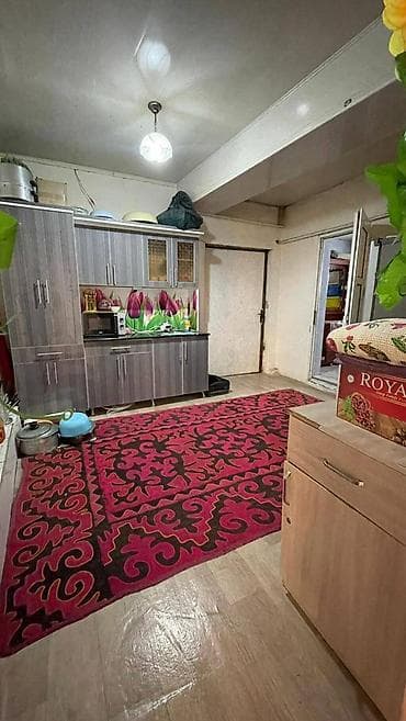 Жер тилкелери: 2 соток, Курулуш, Кызыл китеп — 3