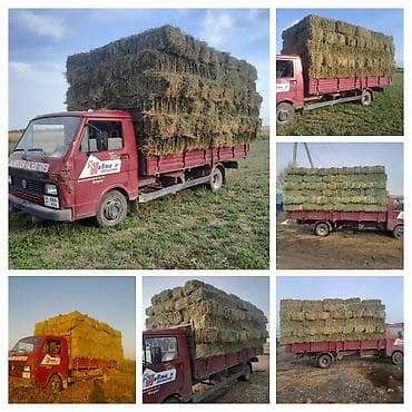 bmb m5: Volkswagen : 1991 г., 2.4 л, Ручные, Дизель, Седан — 3