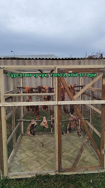 Промышленная химия: Сүрсүгөн чучук, топоз, кой, кунажын эттерин сатабыз. Дарегибиз Сокулук — 1