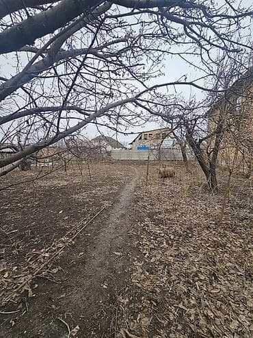 Продажа дач: Продаётся участок по первой линии Лебединовка напротив магазина Шекер — 4