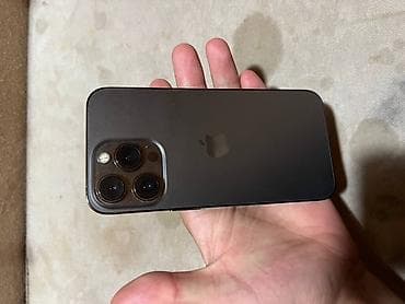 IPhone 13 Pro, Б/у, Графит, Чехол, 72 %