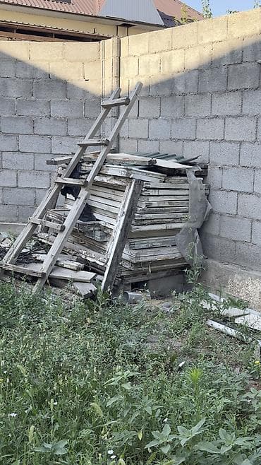 Табылгалар, бекерге берем: Отдам даром на дрова — 1