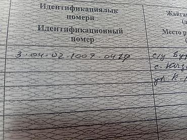 5 соток, Курулуш, Кызыл китеп — 2