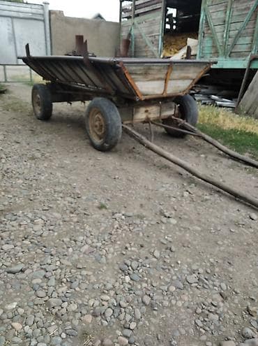 велосипед forward бишкек: Сатам | Жылкы (эркек) — 1