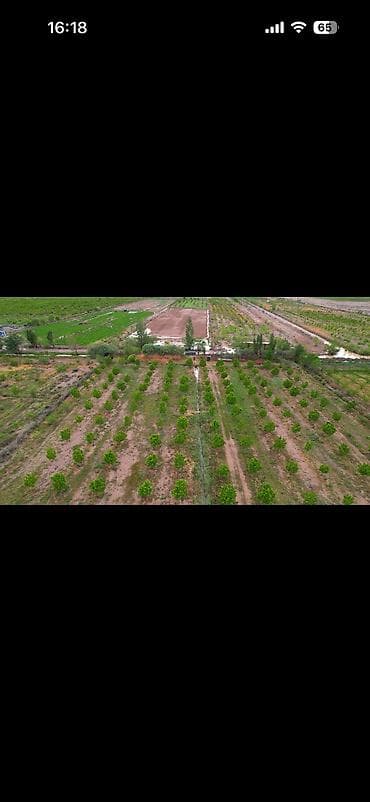 куплю поля: 400 соток, Для сельского хозяйства, Красная книга — 1