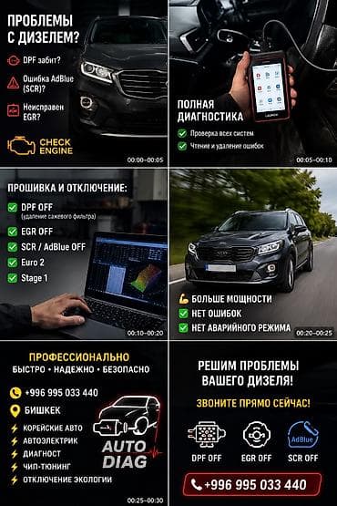 филдер: Профессиональное удаление и отключение: - DPF (сажевый фильтр) - — 1