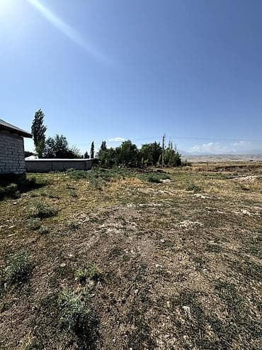 Жер тилкелери: 5 соток — 2