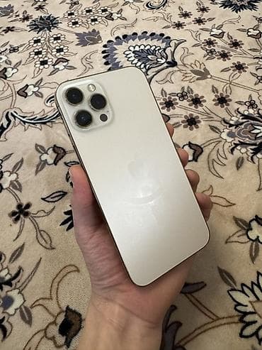 планшеты apple: IPhone 12 Pro Max, 256 ГБ, Серебристый — 1