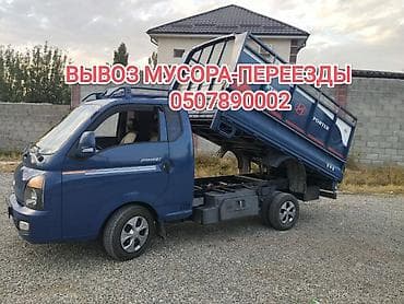 Легкий грузовик, Hyundai, Стандарт — 1