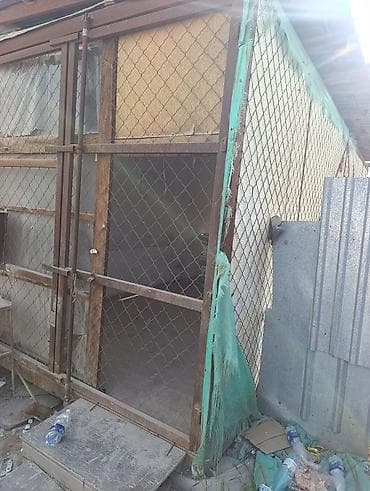 крыша жапканга: Металлический хозблок/бытовка из профнастила - Каркас: металлический — 4