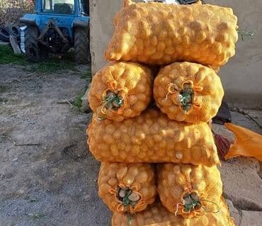 купить мешки для картофеля: Картошка — 1