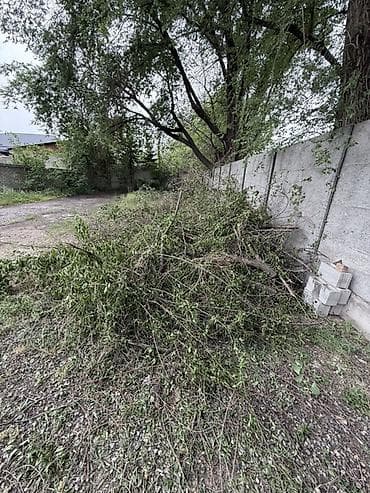 Дрова: Дрова Самовывоз — 1