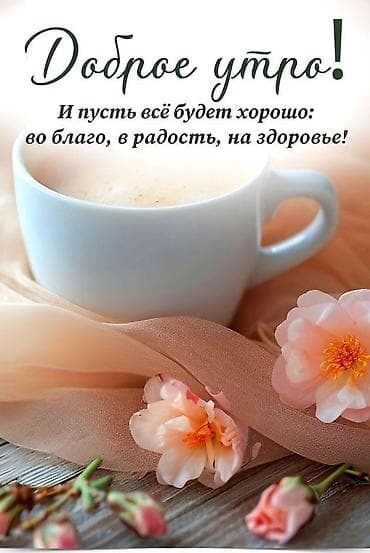 Инвалидная коляска складная, ручной привод - Материал рамы