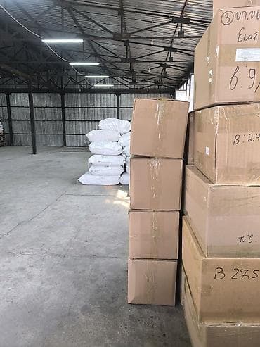 водительский: Грузовик — 2