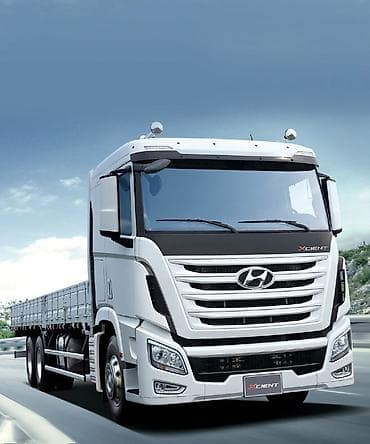 синие розы: Подбор и доставка авто и спецтехники из Кореи под ключ. Вытаскиваем — 10