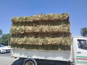 Крупы, мука, сахар: ☘️🍀🍀Продаю Клевер ✅ 2 кос 💯 качество 🚚 доставка - — 5