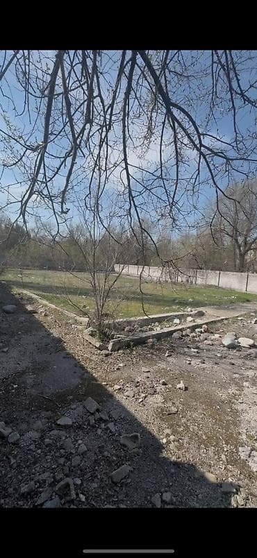 11 соток, Для бизнеса — 4