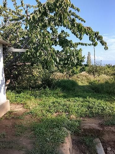нуран парк: Участок без дома . - Просторный участок с естественным рельефом — 7