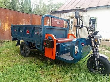 електро мото: Легкий грузовик — 1