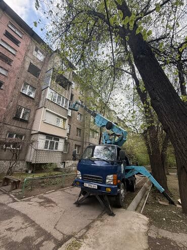 домкраты гидравлические: Автовышка, Hyundai, 2006 г., 24 м — 6