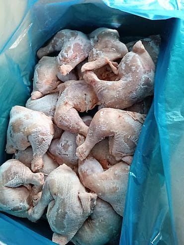 Мясо птицы: Окорочка 250 Филе. 340 Крылышки 320 Халал — 3