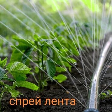 копельный полив: Грунте. Спрей лента туман для полива очень похожа по внешнему виду на — 1