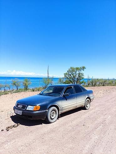 Audi: Audi 100: 1990 г., Седан — 5