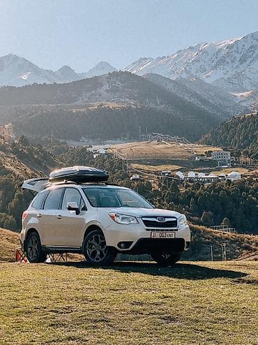 люк субару: Subaru Forester: 2016 г., 2.5 л, Вариатор, Бензин, Кроссовер — 2