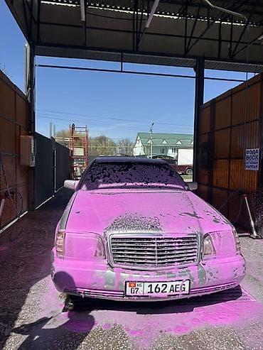 по региону: Mercedes-Benz S-Class: 1992 г., 5 л, Автомат, Газ, Седан — 3