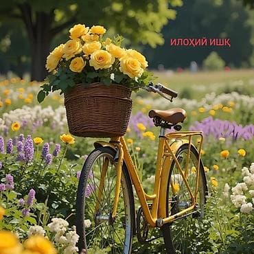 Канцтовары: Яблоки Крипсон — 2