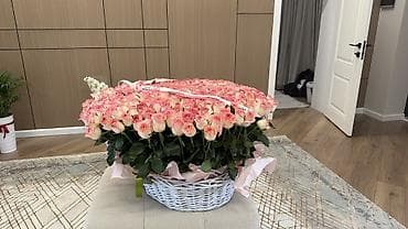 голандские розы: 219 роз — крупный монобукет - Количество: 219 шт. - Сорт/окраска — 3