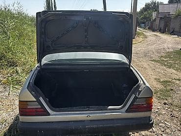 лев: Mercedes-Benz W124: 1988 г., 2.3 л, Механика, Бензин, Седан — 8