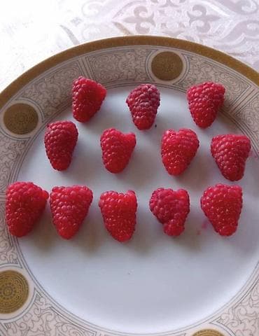 Газон: Принимаем заказы на рассаду сорт Шапка Мономаха долгоиграющий — 8