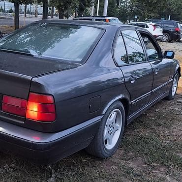 бив е34: BMW 5 series: 1994 г., 2.5 л, Автомат, Бензин, Седан — 6