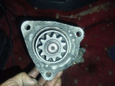 Чыпкалар: Рино фура Алам десениздер басы суйлошобуз чала бериниздер — 2